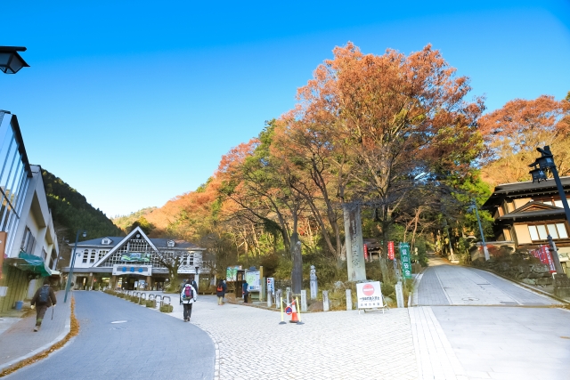 八王子市高尾山