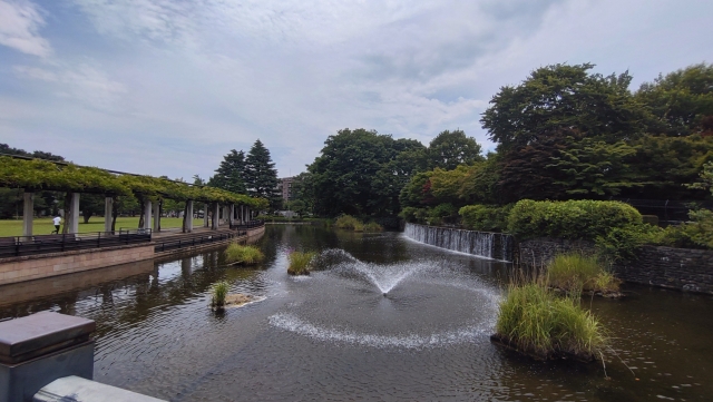武蔵国分寺公園
