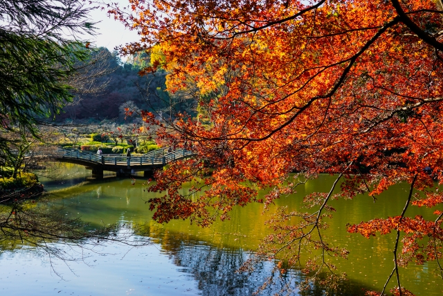 町田市　薬師池公園