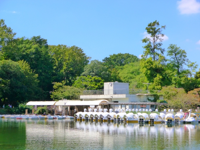 井之頭公園