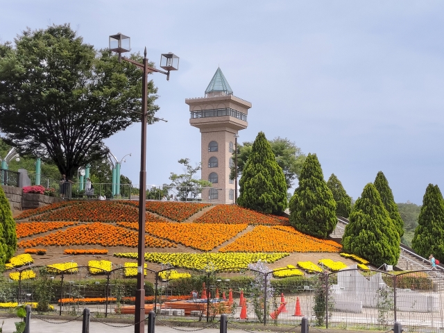 相模原麻溝公園