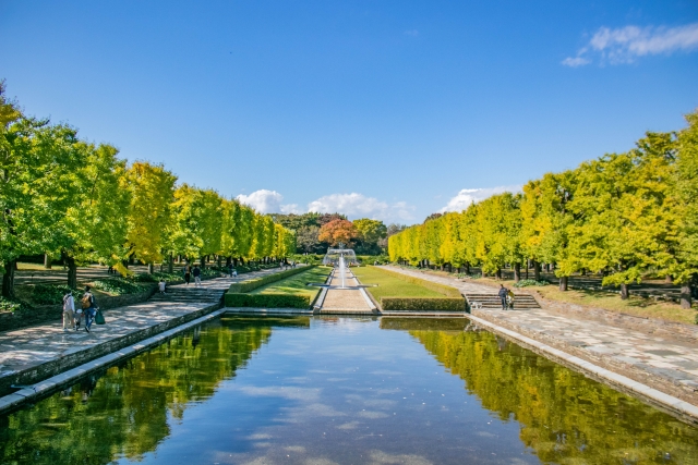 立川昭和記念公園